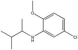 5-chloro-2-methoxy-N-(3-methylbutan-2-yl)aniline Structure