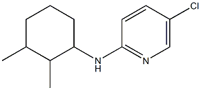  5-chloro-N-(2,3-dimethylcyclohexyl)pyridin-2-amine