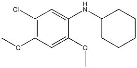 5-chloro-N-cyclohexyl-2,4-dimethoxyaniline,,结构式