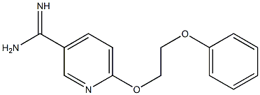 6-(2-phenoxyethoxy)pyridine-3-carboximidamide Structure