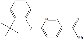6-(2-tert-butylphenoxy)pyridine-3-carbothioamide