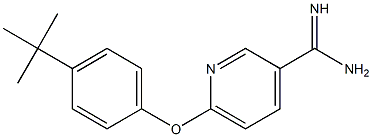 6-(4-tert-butylphenoxy)pyridine-3-carboximidamide,,结构式