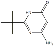 6-amino-2-tert-butyl-3,4-dihydropyrimidin-4-one,,结构式