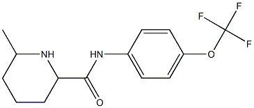 6-methyl-N-[4-(trifluoromethoxy)phenyl]piperidine-2-carboxamide 结构式