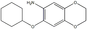 7-(cyclohexyloxy)-2,3-dihydro-1,4-benzodioxin-6-amine,,结构式
