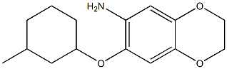 7-[(3-methylcyclohexyl)oxy]-2,3-dihydro-1,4-benzodioxin-6-amine Structure