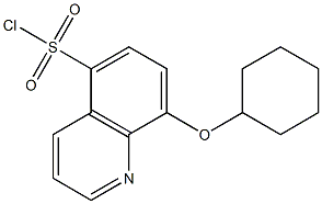 8-(cyclohexyloxy)quinoline-5-sulfonyl chloride