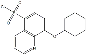 8-(cyclohexyloxy)quinoline-5-sulfonyl chloride 结构式