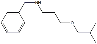 benzyl[3-(2-methylpropoxy)propyl]amine Structure