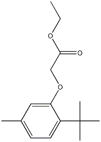 ethyl 2-(2-tert-butyl-5-methylphenoxy)acetate Structure