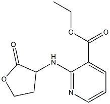ethyl 2-[(2-oxooxolan-3-yl)amino]pyridine-3-carboxylate 化学構造式