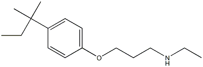 ethyl({3-[4-(2-methylbutan-2-yl)phenoxy]propyl})amine 化学構造式