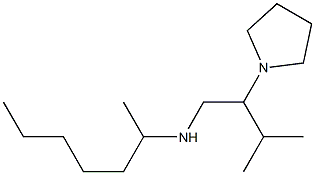 heptan-2-yl[3-methyl-2-(pyrrolidin-1-yl)butyl]amine Structure