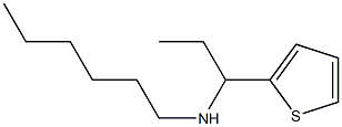 hexyl[1-(thiophen-2-yl)propyl]amine|