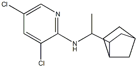  N-(1-{bicyclo[2.2.1]heptan-2-yl}ethyl)-3,5-dichloropyridin-2-amine