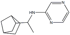 N-(1-{bicyclo[2.2.1]heptan-2-yl}ethyl)pyrazin-2-amine,,结构式
