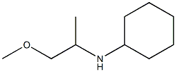 N-(1-methoxypropan-2-yl)cyclohexanamine Struktur