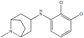 N-(2,3-dichlorophenyl)-8-methyl-8-azabicyclo[3.2.1]octan-3-amine