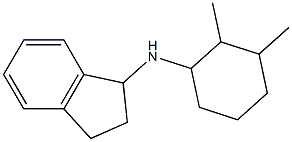 N-(2,3-dimethylcyclohexyl)-2,3-dihydro-1H-inden-1-amine