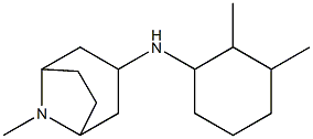 N-(2,3-dimethylcyclohexyl)-8-methyl-8-azabicyclo[3.2.1]octan-3-amine Struktur