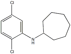 N-(2,5-dichlorophenyl)cycloheptanamine Structure