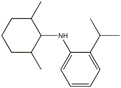 N-(2,6-dimethylcyclohexyl)-2-(propan-2-yl)aniline 结构式
