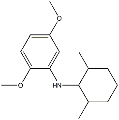N-(2,6-dimethylcyclohexyl)-2,5-dimethoxyaniline 结构式