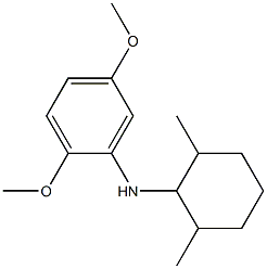  N-(2,6-dimethylcyclohexyl)-2,5-dimethoxyaniline