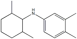 N-(2,6-dimethylcyclohexyl)-3,4-dimethylaniline Structure