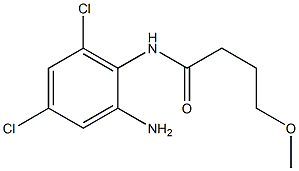 N-(2-amino-4,6-dichlorophenyl)-4-methoxybutanamide Structure