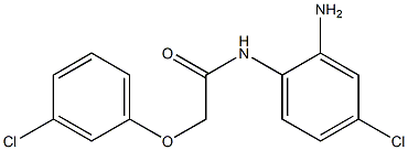 N-(2-amino-4-chlorophenyl)-2-(3-chlorophenoxy)acetamide 化学構造式