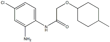 N-(2-amino-4-chlorophenyl)-2-[(4-methylcyclohexyl)oxy]acetamide