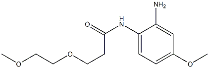 N-(2-amino-4-methoxyphenyl)-3-(2-methoxyethoxy)propanamide Structure