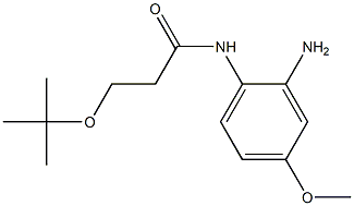 N-(2-amino-4-methoxyphenyl)-3-(tert-butoxy)propanamide Structure