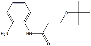 N-(2-aminophenyl)-3-(tert-butoxy)propanamide,,结构式