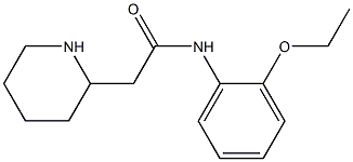 N-(2-ethoxyphenyl)-2-(piperidin-2-yl)acetamide Structure