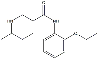 N-(2-ethoxyphenyl)-6-methylpiperidine-3-carboxamide,,结构式