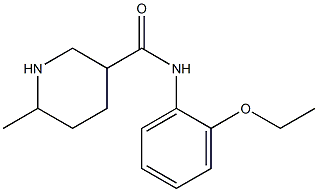 N-(2-ethoxyphenyl)-6-methylpiperidine-3-carboxamide