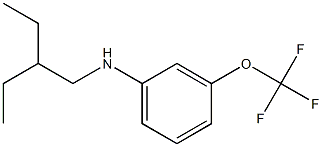 N-(2-ethylbutyl)-3-(trifluoromethoxy)aniline 结构式