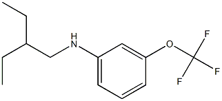 N-(2-ethylbutyl)-3-(trifluoromethoxy)aniline,,结构式