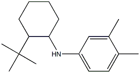 N-(2-tert-butylcyclohexyl)-3,4-dimethylaniline,,结构式