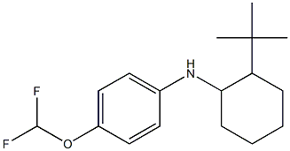 N-(2-tert-butylcyclohexyl)-4-(difluoromethoxy)aniline