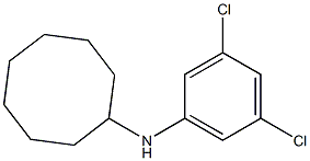 N-(3,5-dichlorophenyl)cyclooctanamine Struktur