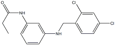 N-(3-{[(2,4-dichlorophenyl)methyl]amino}phenyl)propanamide 化学構造式