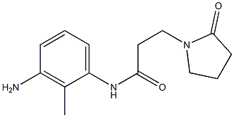 N-(3-amino-2-methylphenyl)-3-(2-oxopyrrolidin-1-yl)propanamide Structure