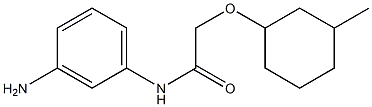 N-(3-aminophenyl)-2-[(3-methylcyclohexyl)oxy]acetamide Structure