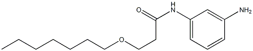 N-(3-aminophenyl)-3-(heptyloxy)propanamide|