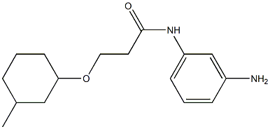 N-(3-aminophenyl)-3-[(3-methylcyclohexyl)oxy]propanamide Structure