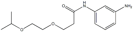N-(3-aminophenyl)-3-[2-(propan-2-yloxy)ethoxy]propanamide,,结构式