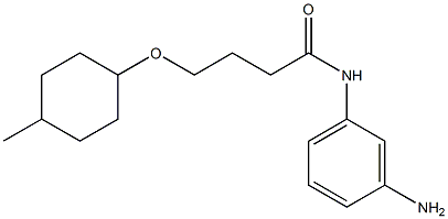 N-(3-aminophenyl)-4-[(4-methylcyclohexyl)oxy]butanamide Structure